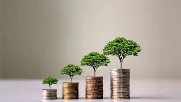 Driving Organic Growth Featured Image