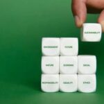 The Influence of Sustainable Package Design on Buyer Behavior