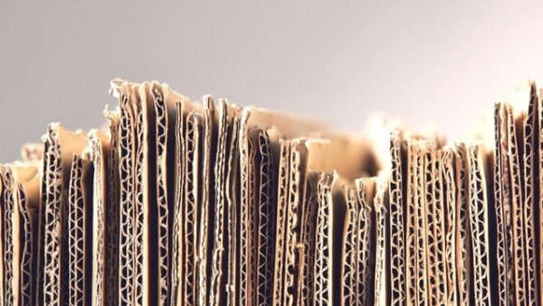 Defining the Graphic Grades of Substrates Featured Image