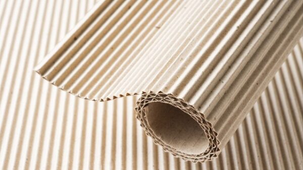 Folding Carton/Rigid Box/Microflute Series Part 1 Featured Image
