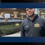 Find Your Future in Packaging - Moving Up Through the Ranks