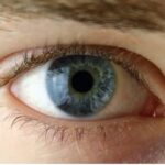 Eye Tracking Report: Clamshells vs Paperboard Boxes