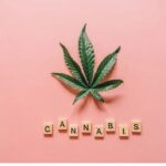 Marijuana in the Work Place