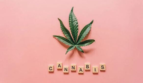 Marijuana in the Work Place Featured Image