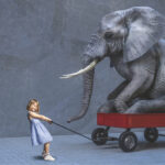 The Shipping Status Quo