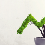 Pump Up Your Profitability