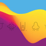 Vision Beyond Vision