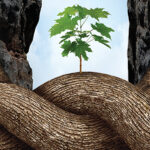 Free Education for All AICC Members