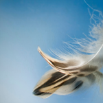 What Is Our Progress in Going Lighter?