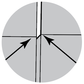 Figure 3 Close up