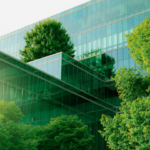 Exploring the Trade-Offs of Sustainable Packaging