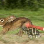 Slow Down to Go Fast!