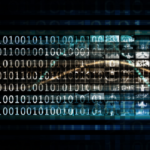 A Look at the Evolution of Box Plants