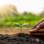 Sustainability: Taking a Back Seat to AI – But Not Forgotten