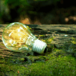 international corrugated packaging foundation